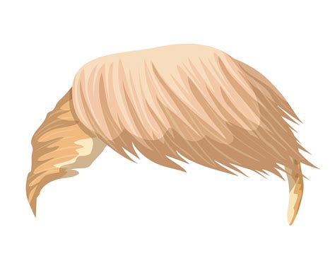 Hair Donald Trump. Leader of USA. Can use for caricatures and cartoon ...