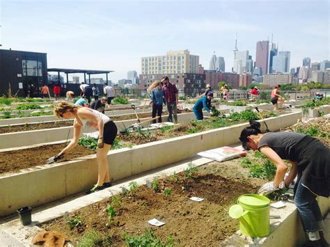 Does your building have a Community Garden? – Hoffmann Hayes