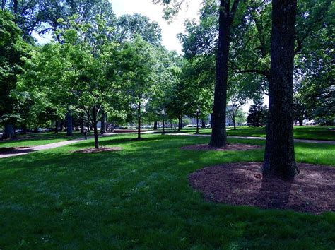 Inside The Grove at Ole Miss Photograph by Terry Cobb