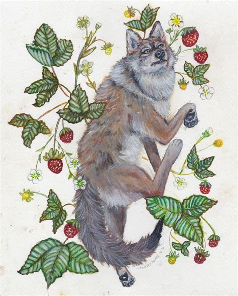 Coyote Print Watercolor Painting Coyote Art Wildlife Art | Etsy