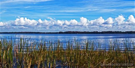 IMG_1909 WATERMARKED | LAKE TARPON TARPON SPRINGS FLORIDA | Richard Bennett | Flickr