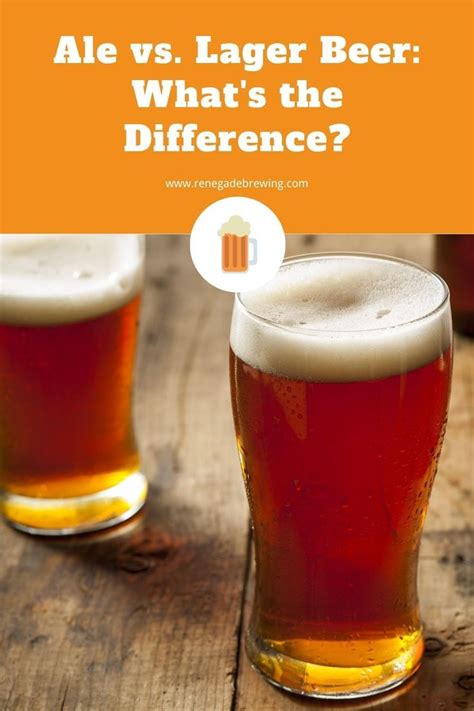 Ale vs. Lager Beer: What's the Difference? | Lager beer, Beer ingredients, Beer