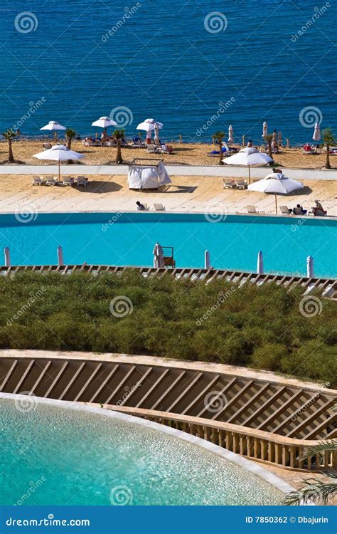 Dead sea beach - Jordan stock photo. Image of autumn, blue - 7850362