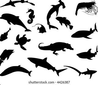 Sea Life Vector Collection Stock Vector (Royalty Free) 19417027