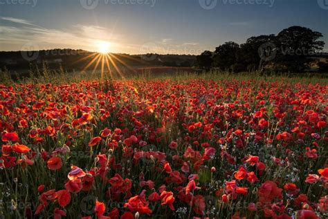 Summer Solstice Sunrise 740762 Stock Photo at Vecteezy