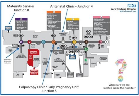 York and Scarborough Teaching Hospitals NHS Foundation Trust - Where ...