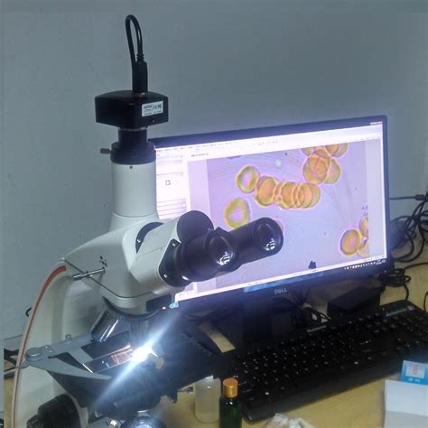 Digital Microscope with camera can take photo, connect with computer or LCD Screen-Shenzhen ...