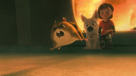 192 best images about DISNEY PIXAR BOLT on Pinterest | Disney, Hamsters and Disney movies