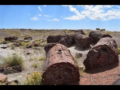 Rockin it at Petrified Forest National Park, Holbrook, AZ - YouTube