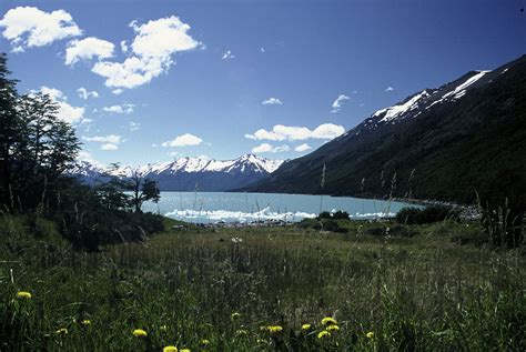 Patagonia National Parks: Chile make a reality one of the last great protected places of the ...