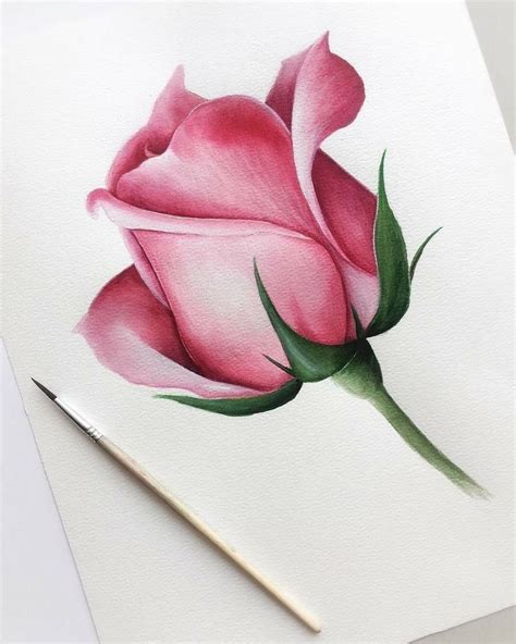 Épinglé par Zoe K sur Zeichnung | Dessin fleur, Dessin de fleurs au crayon, Dessin crayon de couleur