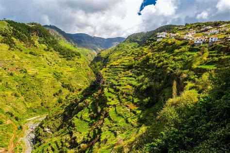 The Island of Eternal Spring, Madeira. Stock Photo - Image of levada, channel: 212396796