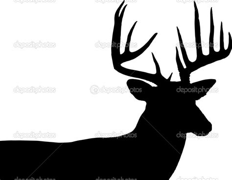 Whitetail buck silhouette — Stock Photo © dcwcreations #24478799