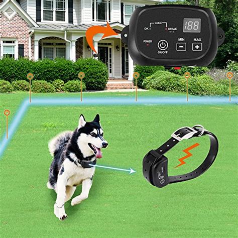 Our 10 Best Electric Dog Fence Reviews In 2023 | The WaterHub