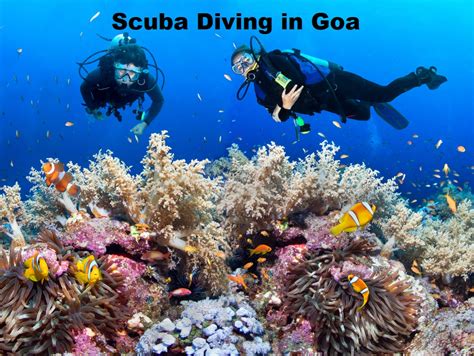 A Mini Guide To Scuba Diving in Goa