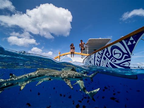 Maupiti Island 2024: Best Places to Visit - Tripadvisor