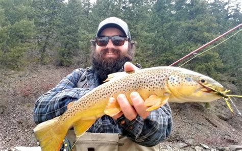 Rock Creek Montana: Flows, Weather and Fishing - Busted Oarlock