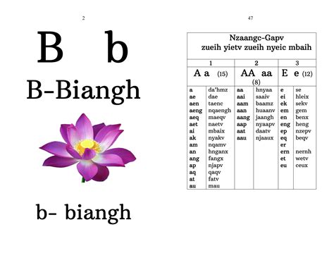 Free Resources | Iu Mien Culture & Language Resources