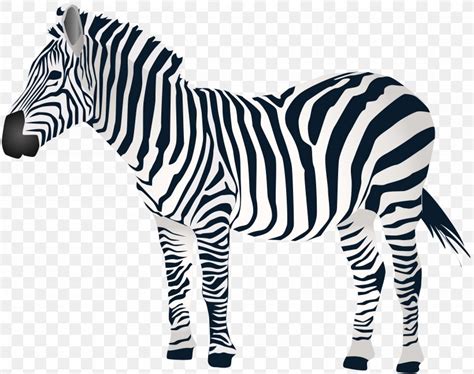 Zebra Clip Art, PNG, 8000x6326px, Zebra, Black And White, Cuteness ...