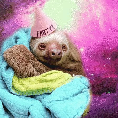 Sloths MOVING GIF | Sloths funny, Sloth, Animals