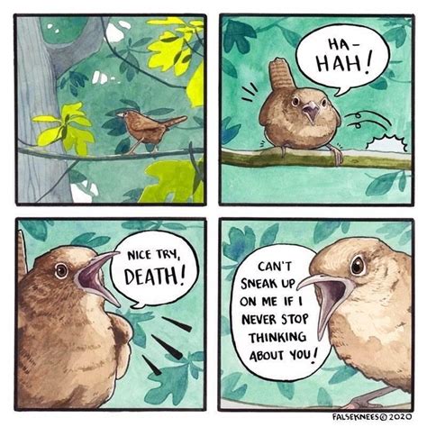 Intense Bird Memes To Ruffle Some Feathers (40 Memes) | Funny animal comics, Cute comics, Funny ...