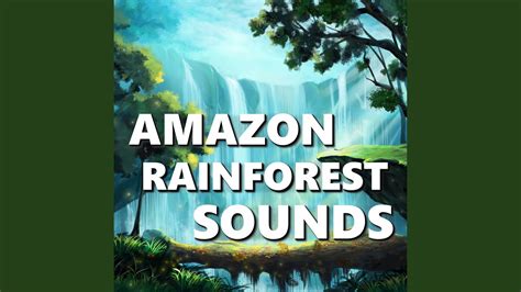 Rainforest Sound - YouTube