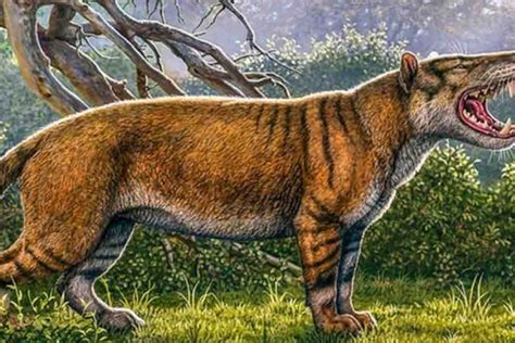 ¡El Gran León Africano! Descubren nuevo animal prehistórico de 22 ...