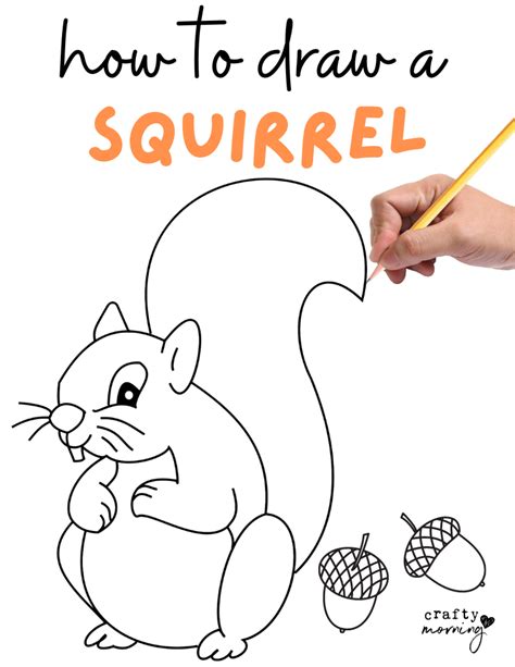 Discover more than 143 squirrel drawing images - seven.edu.vn