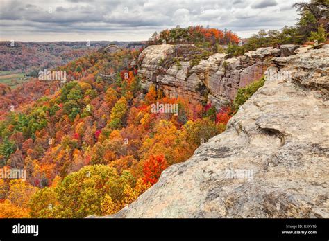 Fall colors, Red River Gorge, Kentucky Stock Photo - Alamy