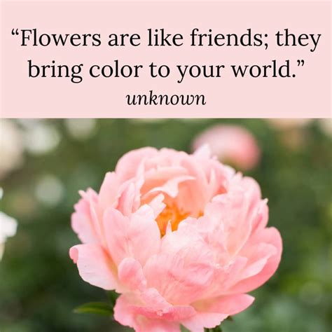 Flower Quotes About Family