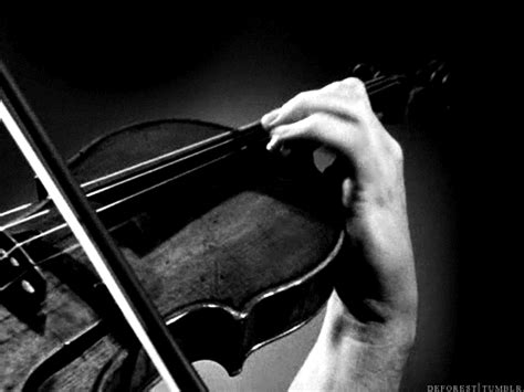 Violin GIFs - Get the best GIF on GIPHY