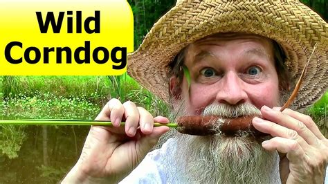 Wild Corndog Plants are Edible @appalachiashomesteadwithpatara - YouTube