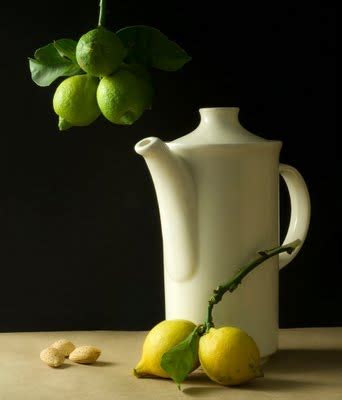 Still Life With Lemons by Cotan - The Art Needlepoint Company