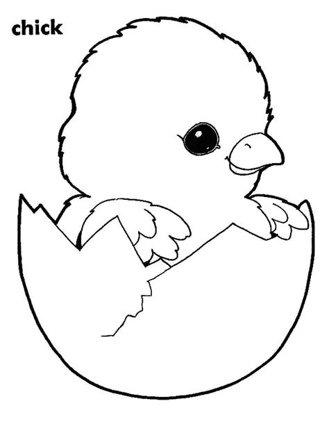 Adorable Chick Hatching Coloring Pages | Best Place to Color