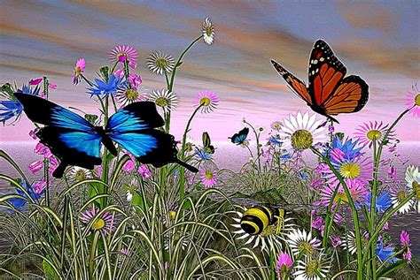 Animated Butterflies | Free HD Wallpapers