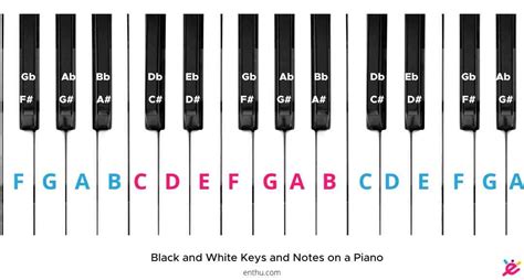 Piano Keys Labeled Numbers