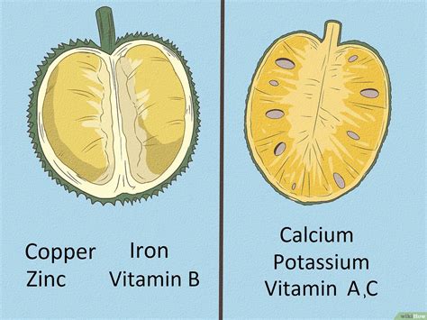 Jackfruit Vs Durian