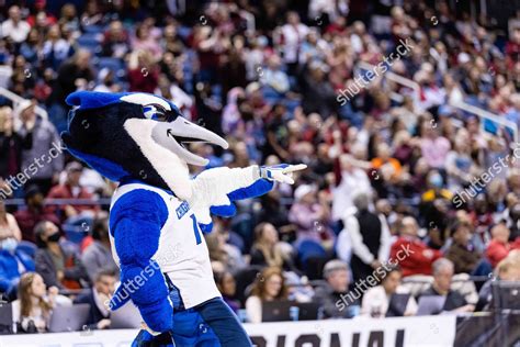 Creighton Bluejays Mascot Dances During Fourth Editorial Stock Photo ...