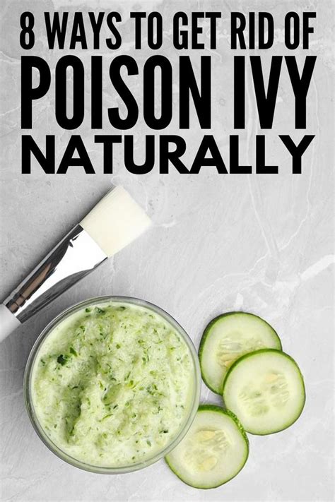 8 Natural Poison Ivy Remedies for Fast Relief That Lasts | Poison ivy ...