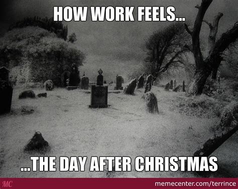 22 After Christmas Truths - Funny Gallery | eBaum's World