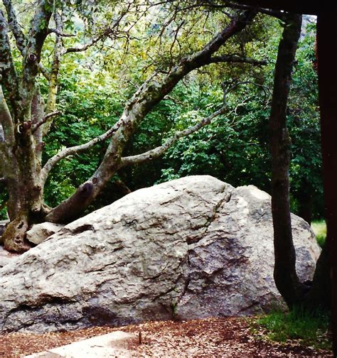 Hospital Rock: Native American History Within Sequoia National Park ...