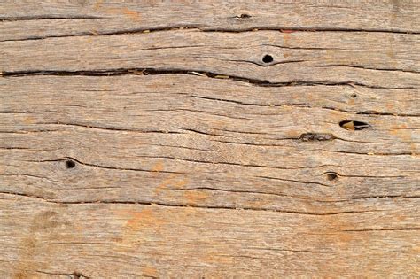 Wood textures Free Photo Download | FreeImages