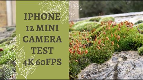 IPHONE 12 MINI CAMERA TEST 4K 60FPS // ПРИМЕР ЗАПИСИ ВИДЕО + НОЧНАЯ ...