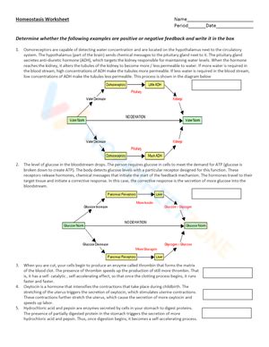 Homeostasis worksheets
