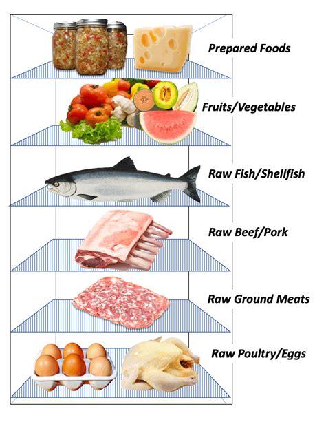 Food Safety And Sanitation Guidelines