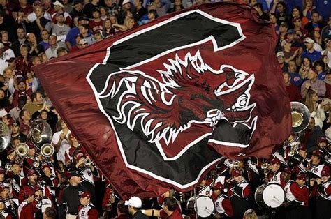 25 Things USC Students Understand | South carolina gamecocks, Gamecock ...