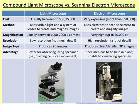 PPT - The Microscope PowerPoint Presentation, free download - ID:2185863