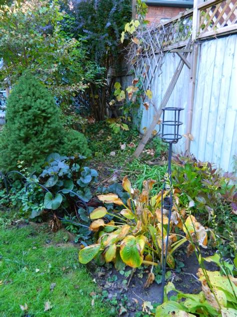 Garden Muses: A Small Toronto Gardening Services Company Blog: Fall garden cleanup in Toronto's ...