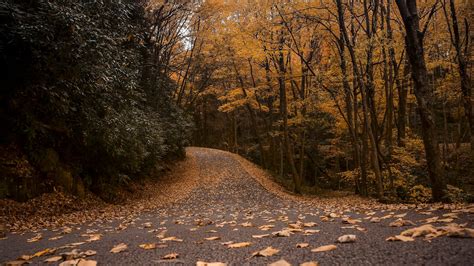 ACCESSIBLE HIKING TRAILS IN WEST VIRGINIA - Almost Heaven - West ...