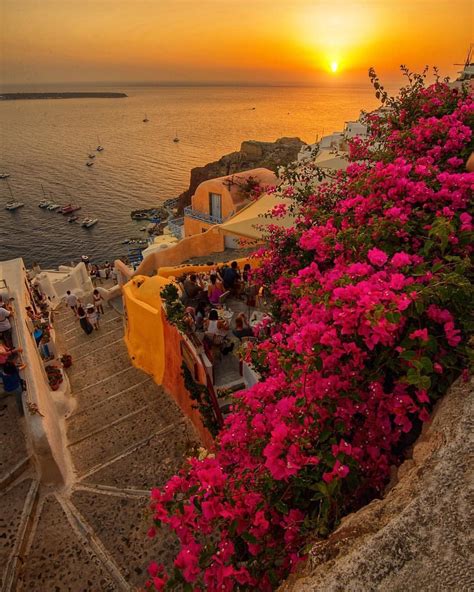 Oia - Santorini in sunset light!!! 🦋🦋🦋📸 Photography by @cbezerraphotos ...